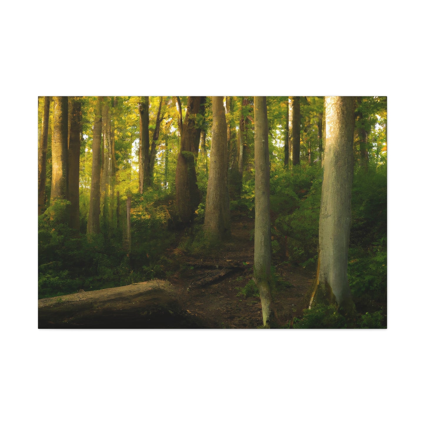 Fiona's Foliage Fables - Canvas