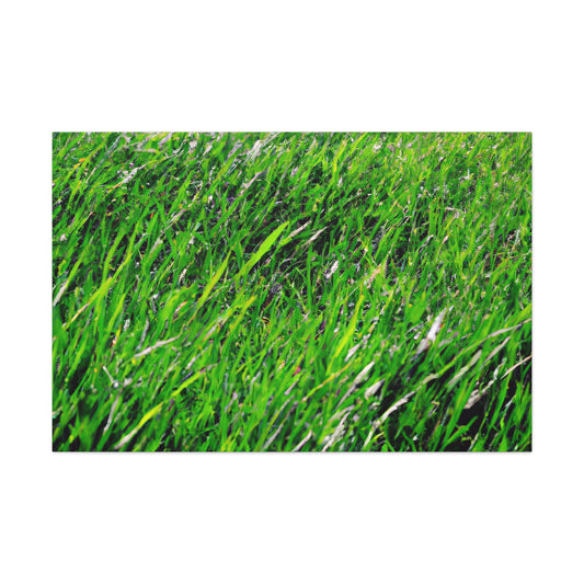 Ava's Meadow of Melding - Canvas